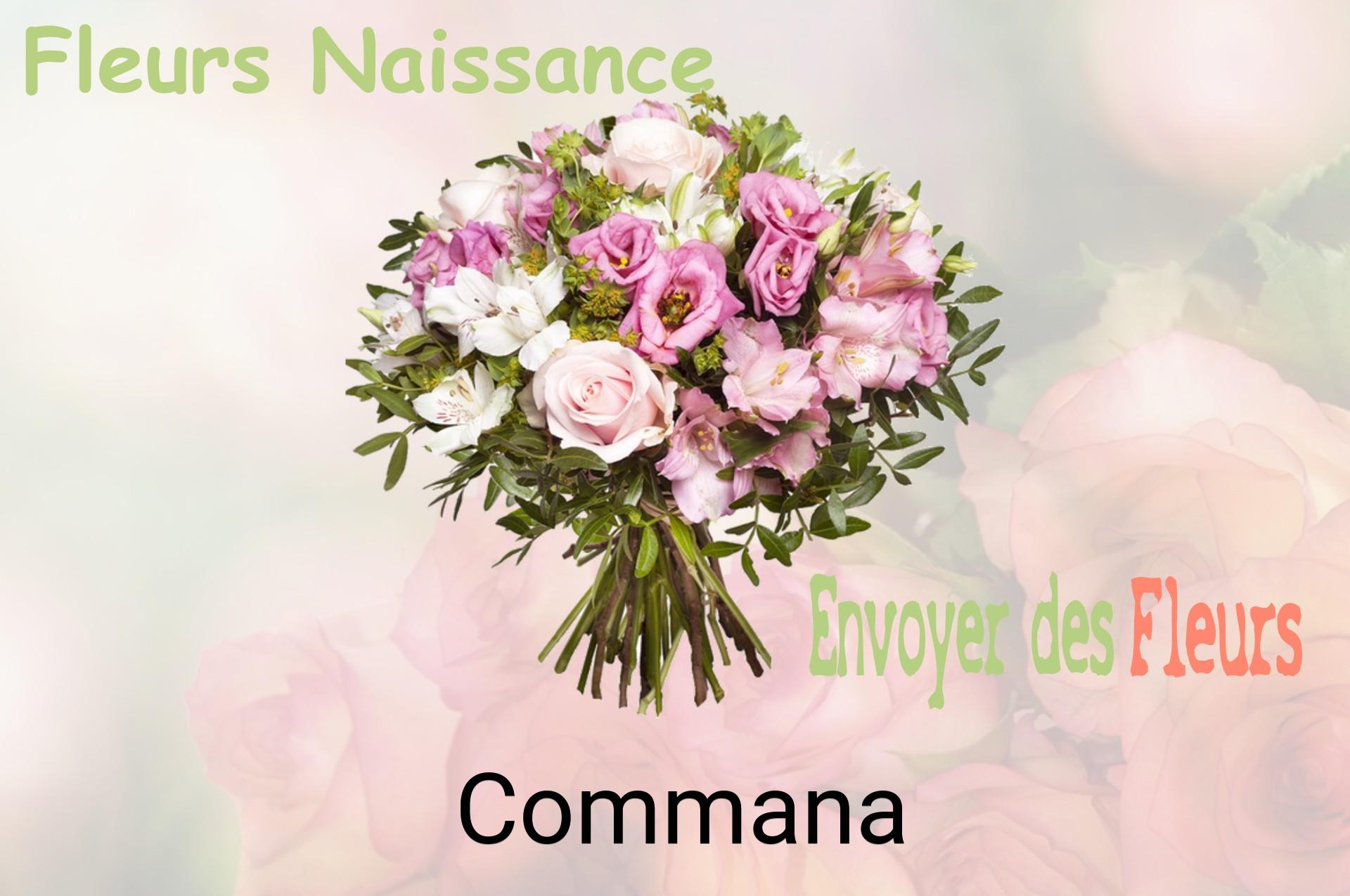 Bouquet de fleurs de naissance livré à Commana